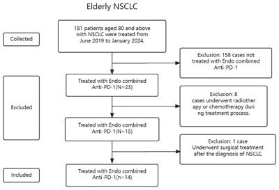 A single-center, retrospective study-spring-evaluating the efficacy and safety of recombinant human vascular endothelial inhibitor combined with anti-PD-1 in elderly patients aged 80 and above with NSCLC